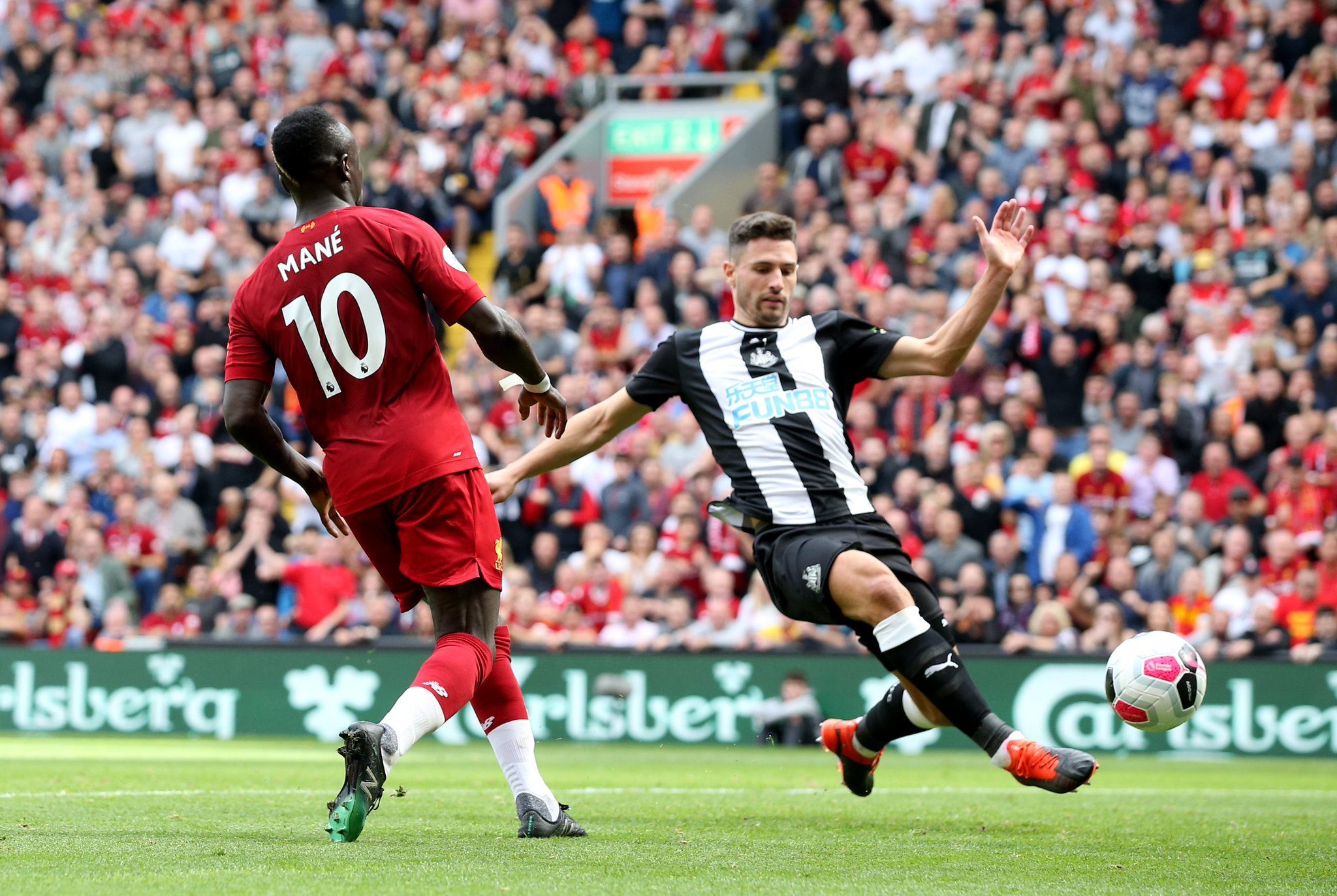 赢得了无数 赢得了无数